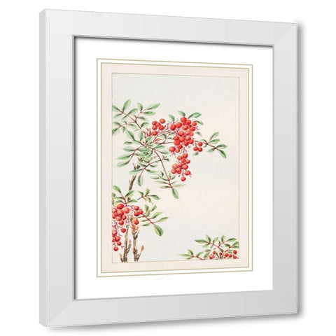 Nandina bush with berries White Modern Wood Framed Art Print with Double Matting by Morikaga, Megata
