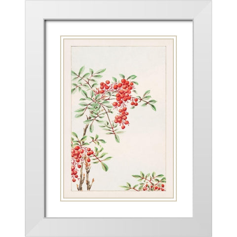 Nandina bush with berries White Modern Wood Framed Art Print with Double Matting by Morikaga, Megata