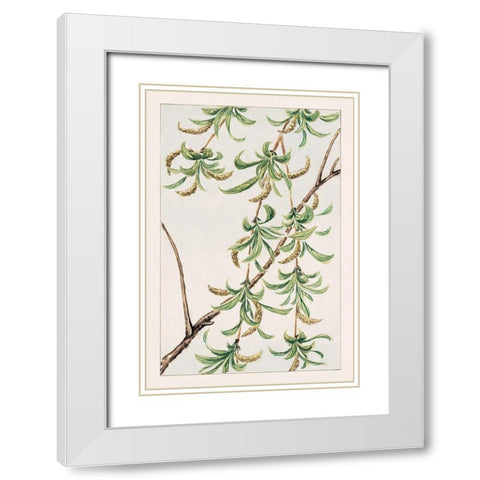 Yanagi or willow White Modern Wood Framed Art Print with Double Matting by Morikaga, Megata