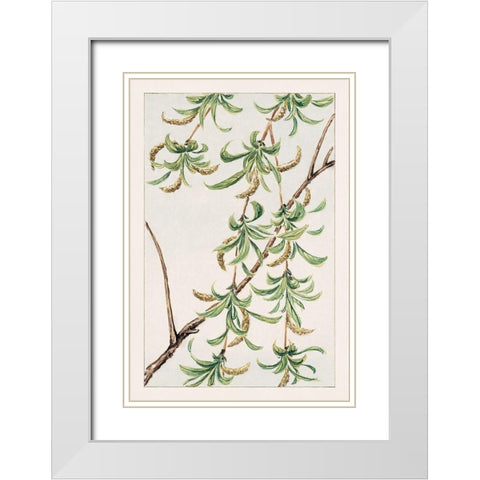 Yanagi or willow White Modern Wood Framed Art Print with Double Matting by Morikaga, Megata