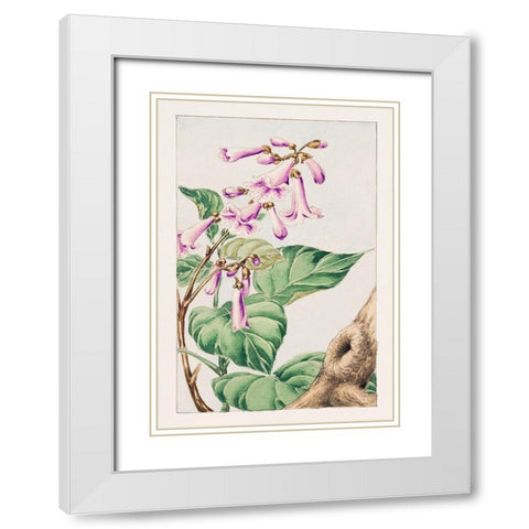 Kiri branch with flowers and leaves White Modern Wood Framed Art Print with Double Matting by Morikaga, Megata