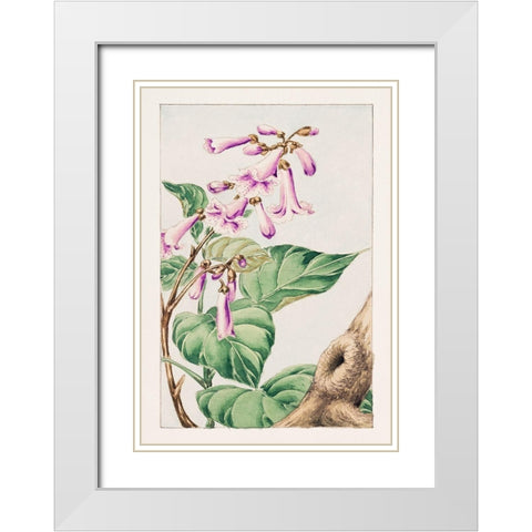 Kiri branch with flowers and leaves White Modern Wood Framed Art Print with Double Matting by Morikaga, Megata