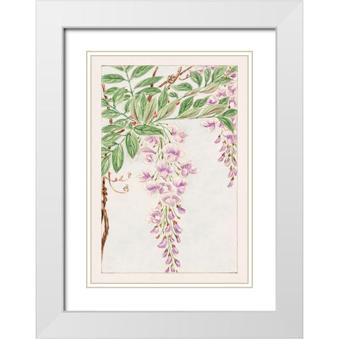 Wisteria vine with leaves and blossoms White Modern Wood Framed Art Print with Double Matting by Morikaga, Megata