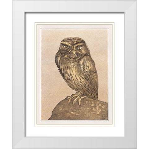 Little owl on rock White Modern Wood Framed Art Print with Double Matting by Hoytema, Theo van