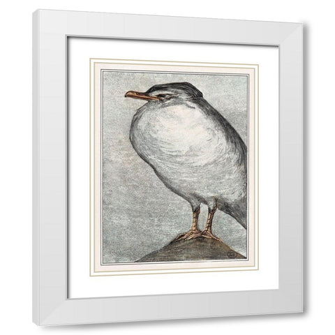 Herring Gull White Modern Wood Framed Art Print with Double Matting by Hoytema, Theo van