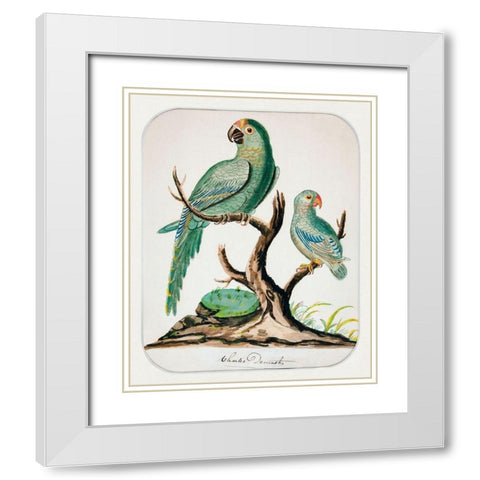 Two Parrots on a Barren Tree White Modern Wood Framed Art Print with Double Matting by Demuth, Charles