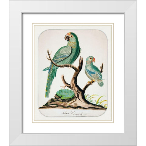 Two Parrots on a Barren Tree White Modern Wood Framed Art Print with Double Matting by Demuth, Charles