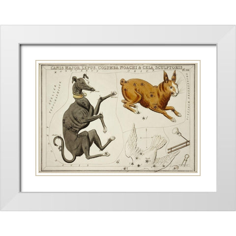 Astronomical chart illustration of the Canis Major-Lepus-Columba Noachi and the Cela Sculptoris White Modern Wood Framed Art Print with Double Matting by Hall, Sidney