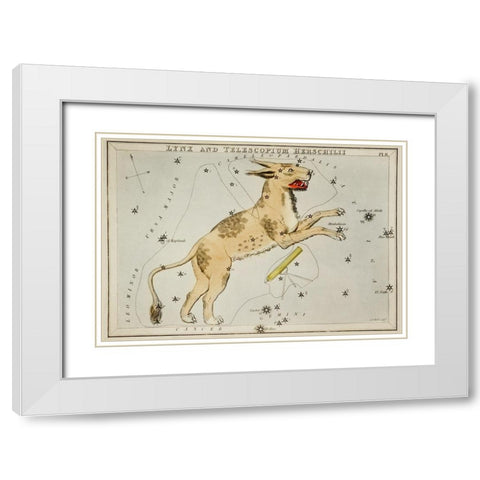 Astronomical chart illustration of Lynx and the Telescopium Herschilii White Modern Wood Framed Art Print with Double Matting by Hall, Sidney