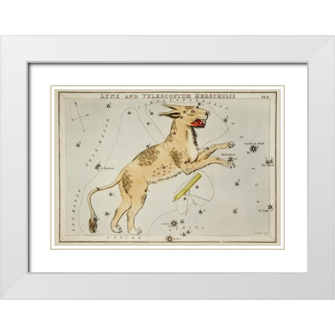 Astronomical chart illustration of Lynx and the Telescopium Herschilii White Modern Wood Framed Art Print with Double Matting by Hall, Sidney