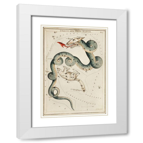 Astronomical chart illustration of the Draco and the Ursa Minor White Modern Wood Framed Art Print with Double Matting by Hall, Sidney
