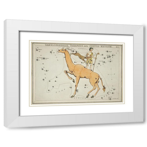 Astronomical chart illustration of the Camelopardalis-Tarandus and the Custos Messium White Modern Wood Framed Art Print with Double Matting by Hall, Sidney