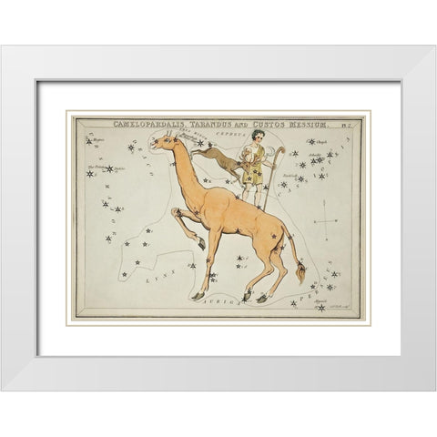 Astronomical chart illustration of the Camelopardalis-Tarandus and the Custos Messium White Modern Wood Framed Art Print with Double Matting by Hall, Sidney
