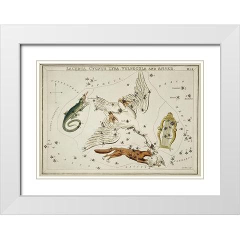 Astronomical chart illustration of the Lacerta-Cygnus-Lyra-Vulpecula and the Anser White Modern Wood Framed Art Print with Double Matting by Hall, Sidney