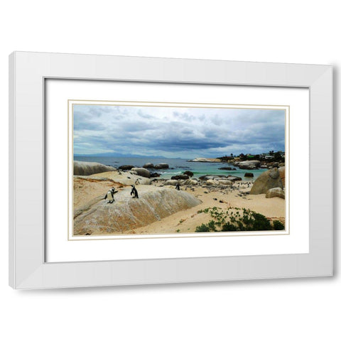 Penguin Land White Modern Wood Framed Art Print with Double Matting by Ghanooni, Sarah