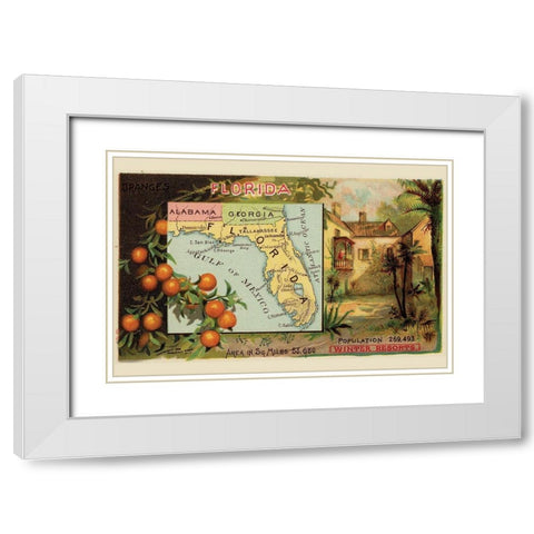 Florida White Modern Wood Framed Art Print with Double Matting by Arbuckle Brothers