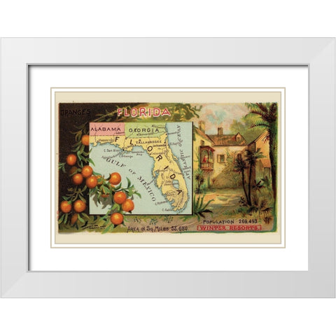 Florida White Modern Wood Framed Art Print with Double Matting by Arbuckle Brothers