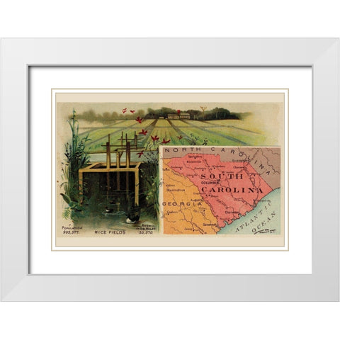 South Carolina White Modern Wood Framed Art Print with Double Matting by Arbuckle Brothers