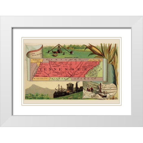Tennessee White Modern Wood Framed Art Print with Double Matting by Arbuckle Brothers