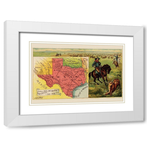 Texas White Modern Wood Framed Art Print with Double Matting by Arbuckle Brothers