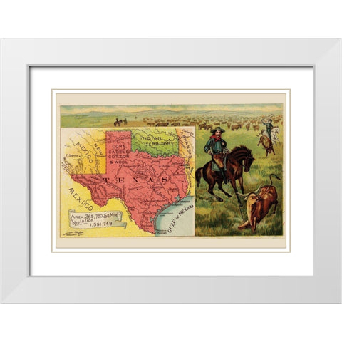 Texas White Modern Wood Framed Art Print with Double Matting by Arbuckle Brothers