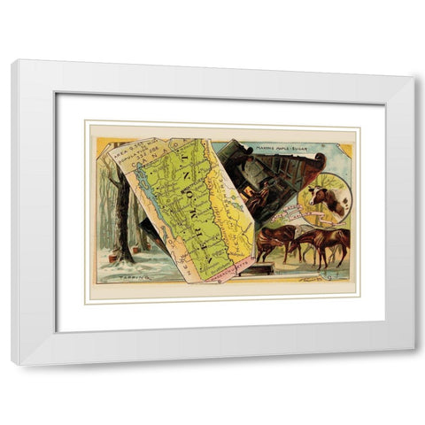 Vermont White Modern Wood Framed Art Print with Double Matting by Arbuckle Brothers