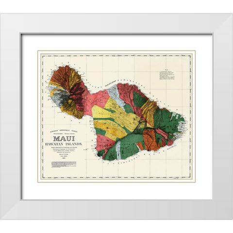 Maui Hawaiian islands White Modern Wood Framed Art Print with Double Matting by Dodge, F S