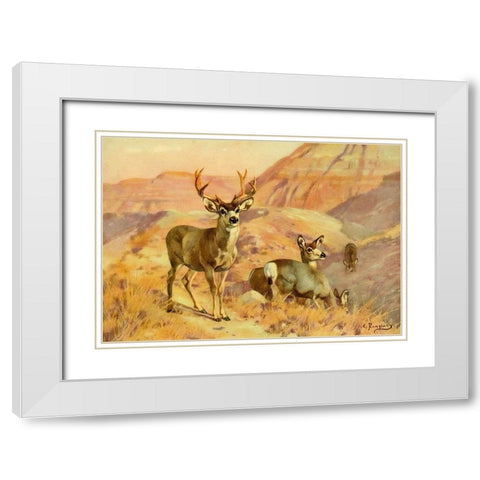 Deer in Montana White Modern Wood Framed Art Print with Double Matting by Rungius, Carl