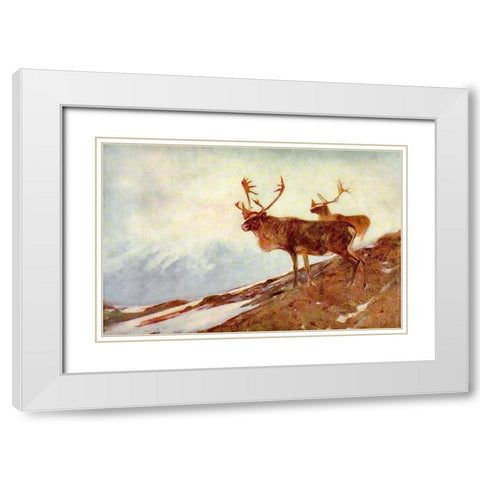 Caribou White Modern Wood Framed Art Print with Double Matting by Rungius, Carl