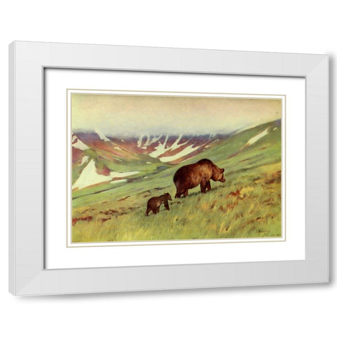 Bears walking in Basin White Modern Wood Framed Art Print with Double Matting by Rungius, Carl