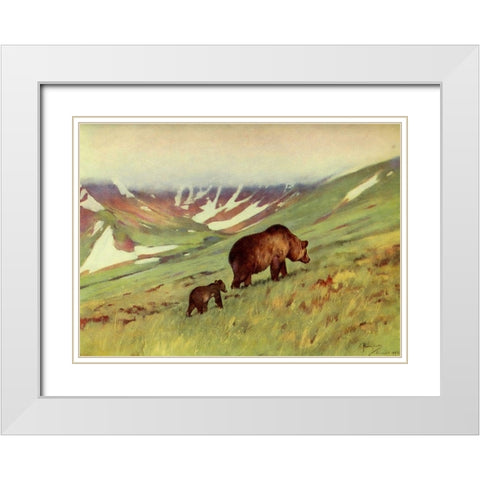 Bears walking in Basin White Modern Wood Framed Art Print with Double Matting by Rungius, Carl