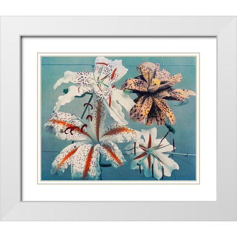 Lily II White Modern Wood Framed Art Print with Double Matting by Kazumasa, Ogawa