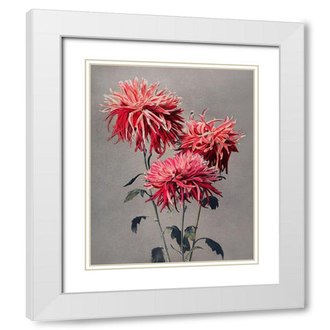 Asa dsuma bune White Modern Wood Framed Art Print with Double Matting by Kazumasa, Ogawa