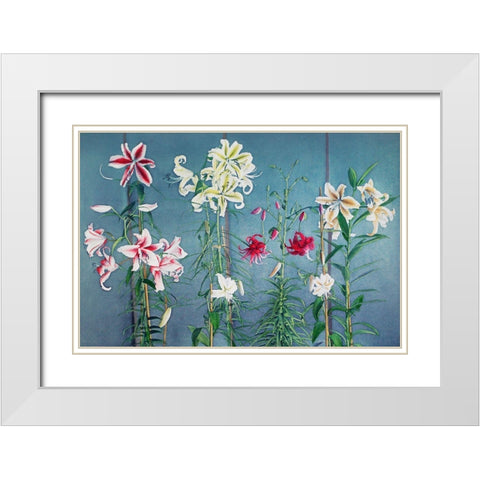 Lily XII White Modern Wood Framed Art Print with Double Matting by Kazumasa, Ogawa