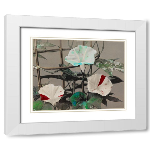 Morning Glory White Modern Wood Framed Art Print with Double Matting by Kazumasa, Ogawa