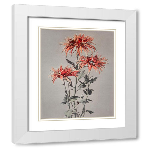 Kin Shi Shi White Modern Wood Framed Art Print with Double Matting by Kazumasa, Ogawa