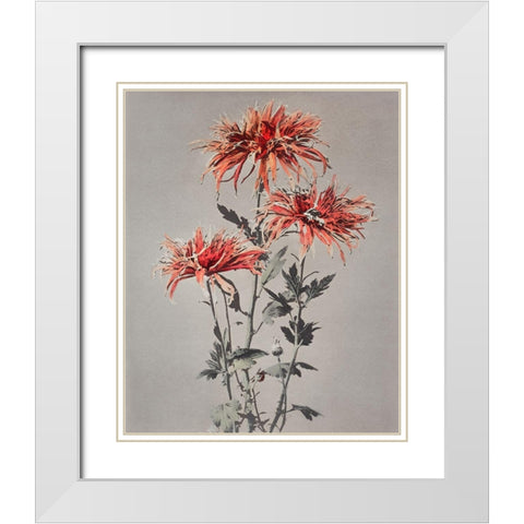 Kin Shi Shi White Modern Wood Framed Art Print with Double Matting by Kazumasa, Ogawa