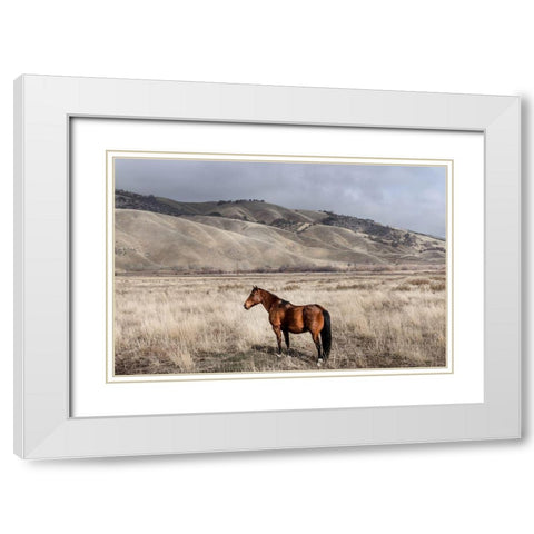 Interstate 5 near Californias Fort Tejon State Park White Modern Wood Framed Art Print with Double Matting by Highsmith, Carol
