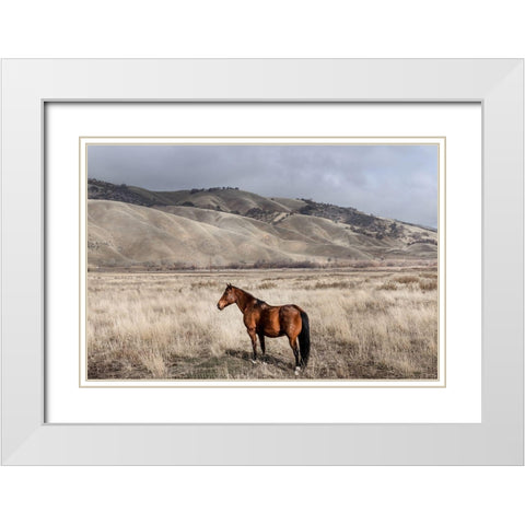 Interstate 5 near Californias Fort Tejon State Park White Modern Wood Framed Art Print with Double Matting by Highsmith, Carol