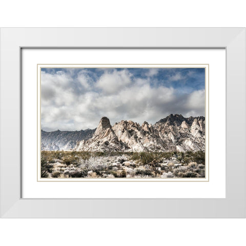 Providence Mountains Mojave National Preserve California White Modern Wood Framed Art Print with Double Matting by Highsmith, Carol