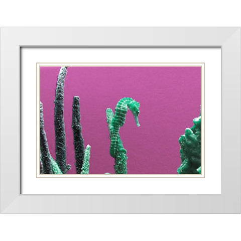 Seahorse at The Monterey Bay Aquarium in Monterey-California White Modern Wood Framed Art Print with Double Matting by Highsmith, Carol