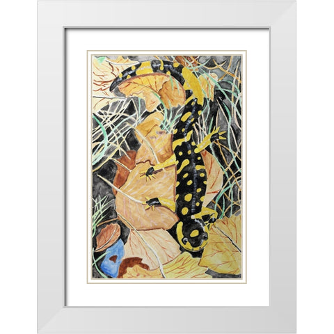 California Tiger Salamander White Modern Wood Framed Art Print with Double Matting by Derr, Wynn