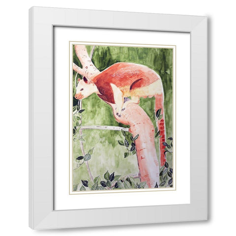Grizzled Tree Kangaroo White Modern Wood Framed Art Print with Double Matting by Derr, Wynn