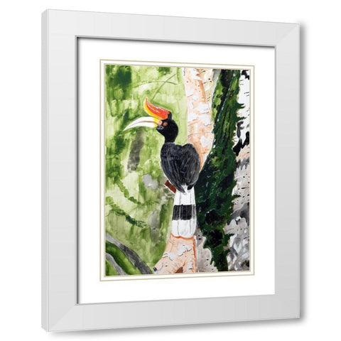 Rhinoceros Hornbill White Modern Wood Framed Art Print with Double Matting by Derr, Wynn