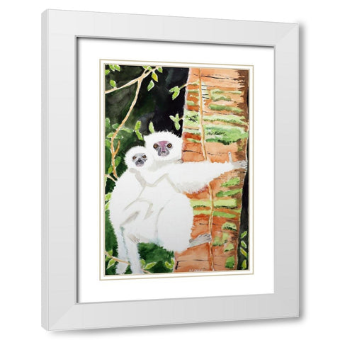 Silky Sifaka Duo White Modern Wood Framed Art Print with Double Matting by Derr, Wynn