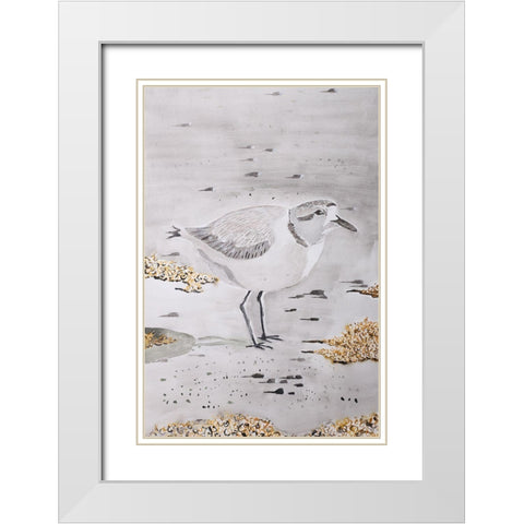 Snowy Plover White Modern Wood Framed Art Print with Double Matting by Derr, Wynn