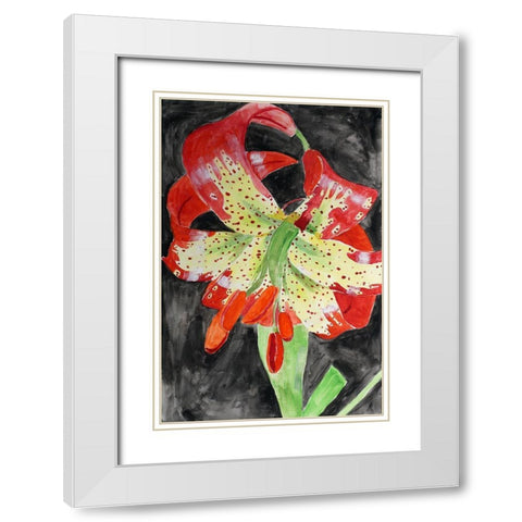Western Lily White Modern Wood Framed Art Print with Double Matting by Derr, Wynn