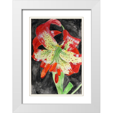 Western Lily White Modern Wood Framed Art Print with Double Matting by Derr, Wynn