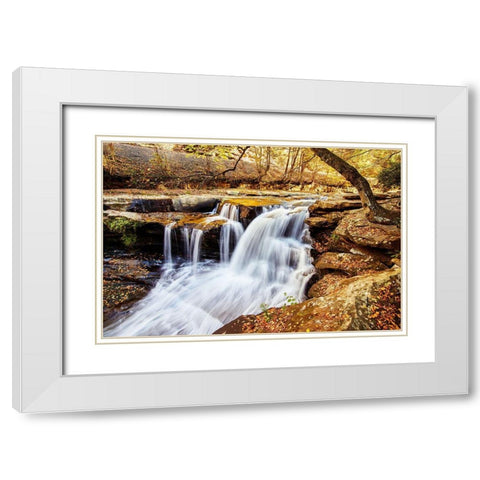 Dunloup Falls Thurmond-Fayette County-West Virginia White Modern Wood Framed Art Print with Double Matting by Highsmith, Carol
