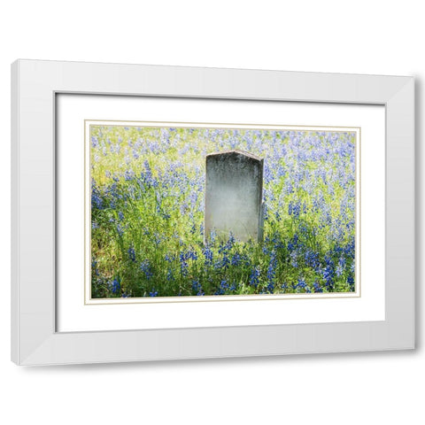 Headstone in Field of Flowers White Modern Wood Framed Art Print with Double Matting by Highsmith, Carol